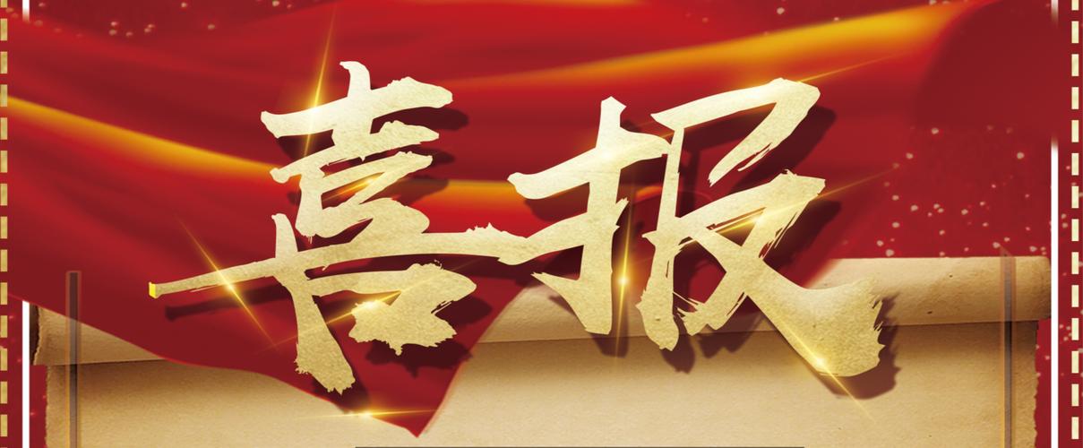 小旋风蜘蛛池与泛域名的奥秘